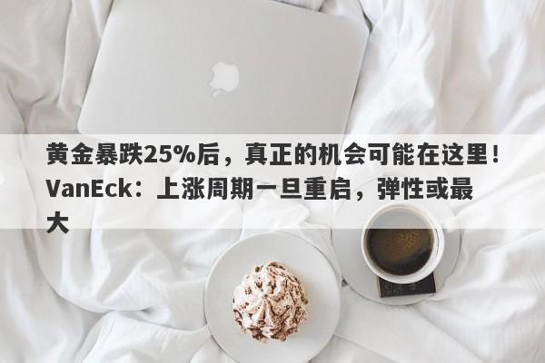 黄金暴跌25%后，真正的机会可能在这里！VanEck：上涨周期一旦重启，弹性或最大