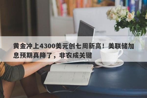 黄金冲上4300美元创七周新高！美联储加息预期真降了，非农成关键