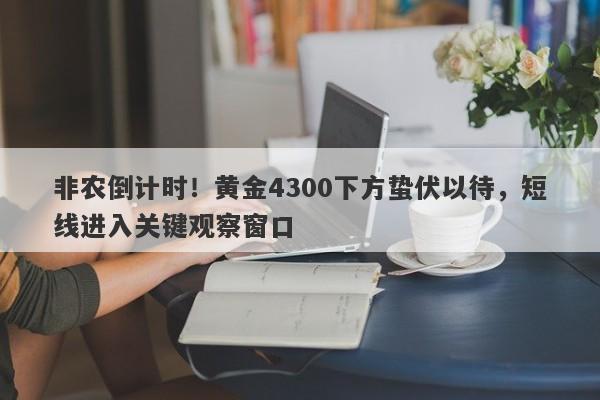 非农倒计时！黄金4300下方蛰伏以待，短线进入关键观察窗口