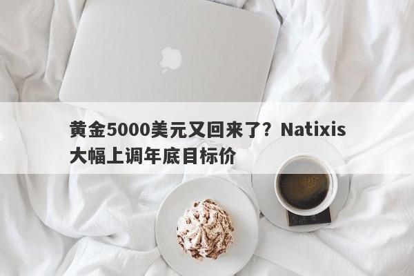 黄金5000美元又回来了？Natixis大幅上调年底目标价