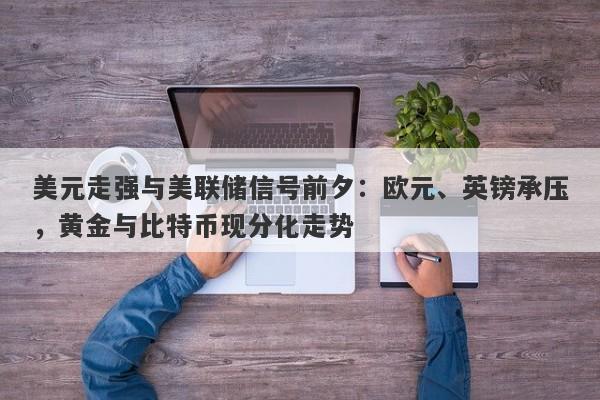 美元走强与美联储信号前夕：欧元、英镑承压，黄金与比特币现分化走势