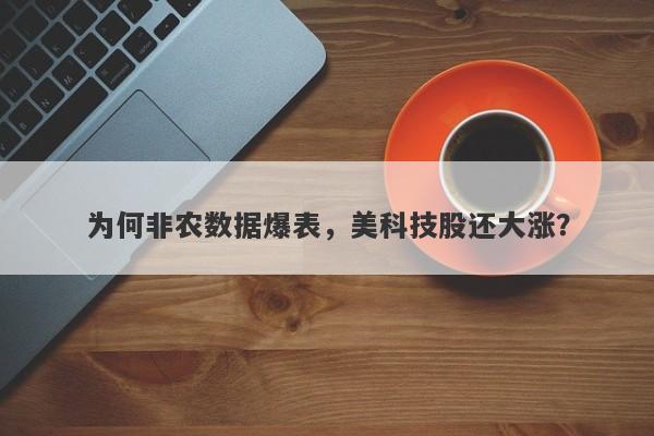 为何非农数据爆表，美科技股还大涨？