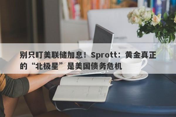 别只盯美联储加息！Sprott：黄金真正的“北极星”是美国债务危机