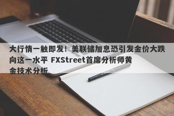 大行情一触即发！美联储加息恐引发金价大跌向这一水平 FXStreet首席分析师黄金技术分析