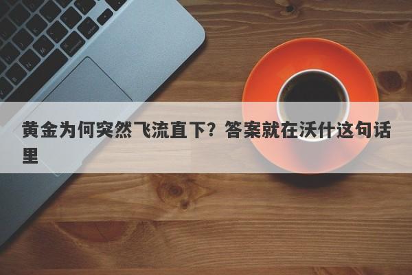 黄金为何突然飞流直下？答案就在沃什这句话里