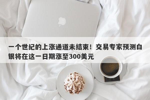 一个世纪的上涨通道未结束！交易专家预测白银将在这一日期涨至300美元