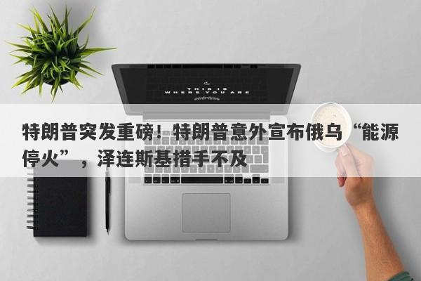特朗普突发重磅！特朗普意外宣布俄乌“能源停火”，泽连斯基措手不及