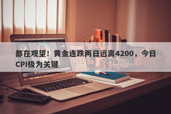 都在观望！黄金连跌两日远离4200，今日CPI极为关键